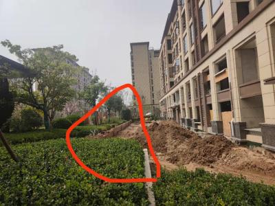 绿地城一区违建严重, - 示范区党工委书记 - 商丘市