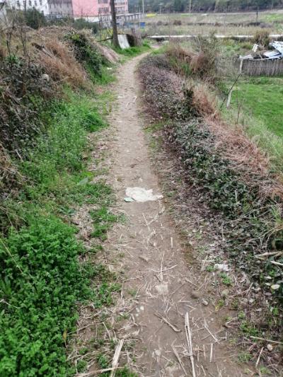 官路乡官路村道路未硬化人居环境极差