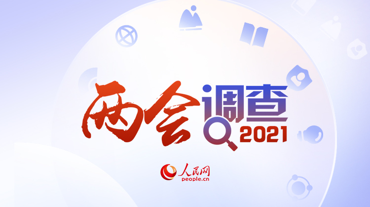 人民网2021两会调查结果