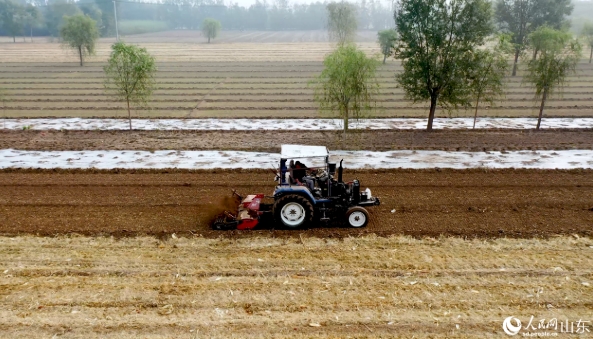 2024年10月15日，张务豹开着拖拉机在田间播种。人民网许峥摄