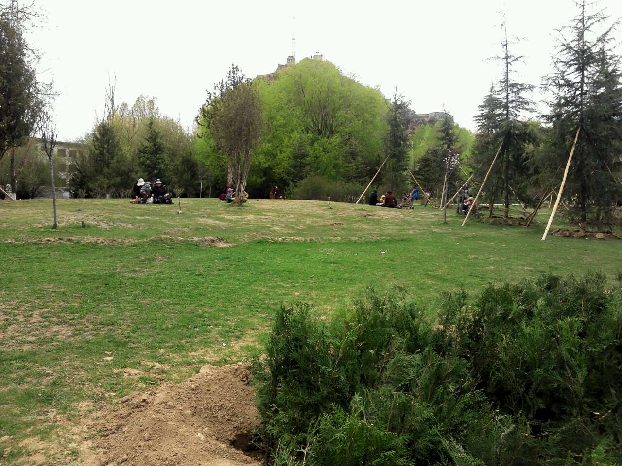 布达拉宫广场的绿化 - 西藏自治区党委书记吴英杰 - 西藏自治区