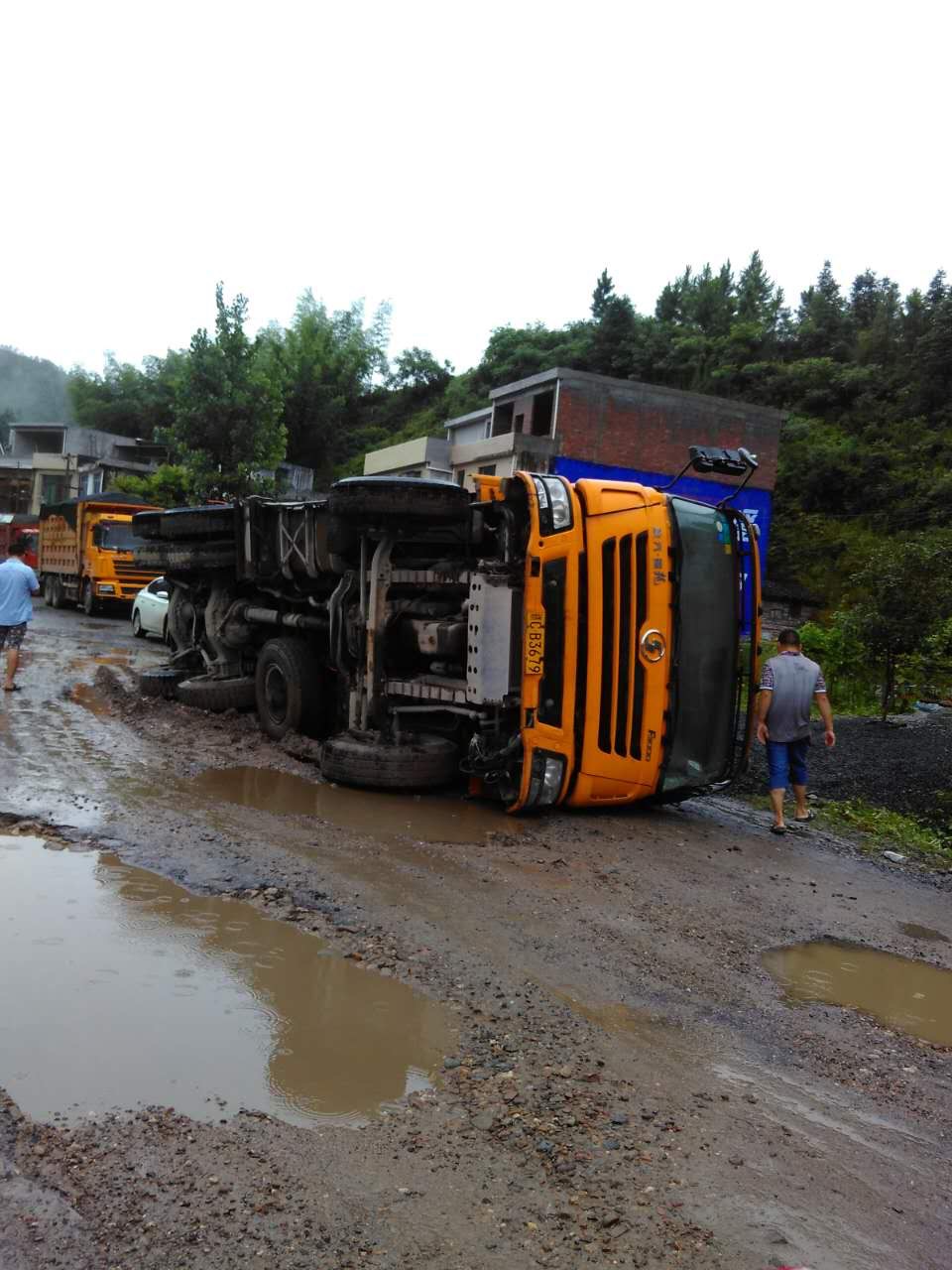 龙南到汶龙的路树以挖几年了