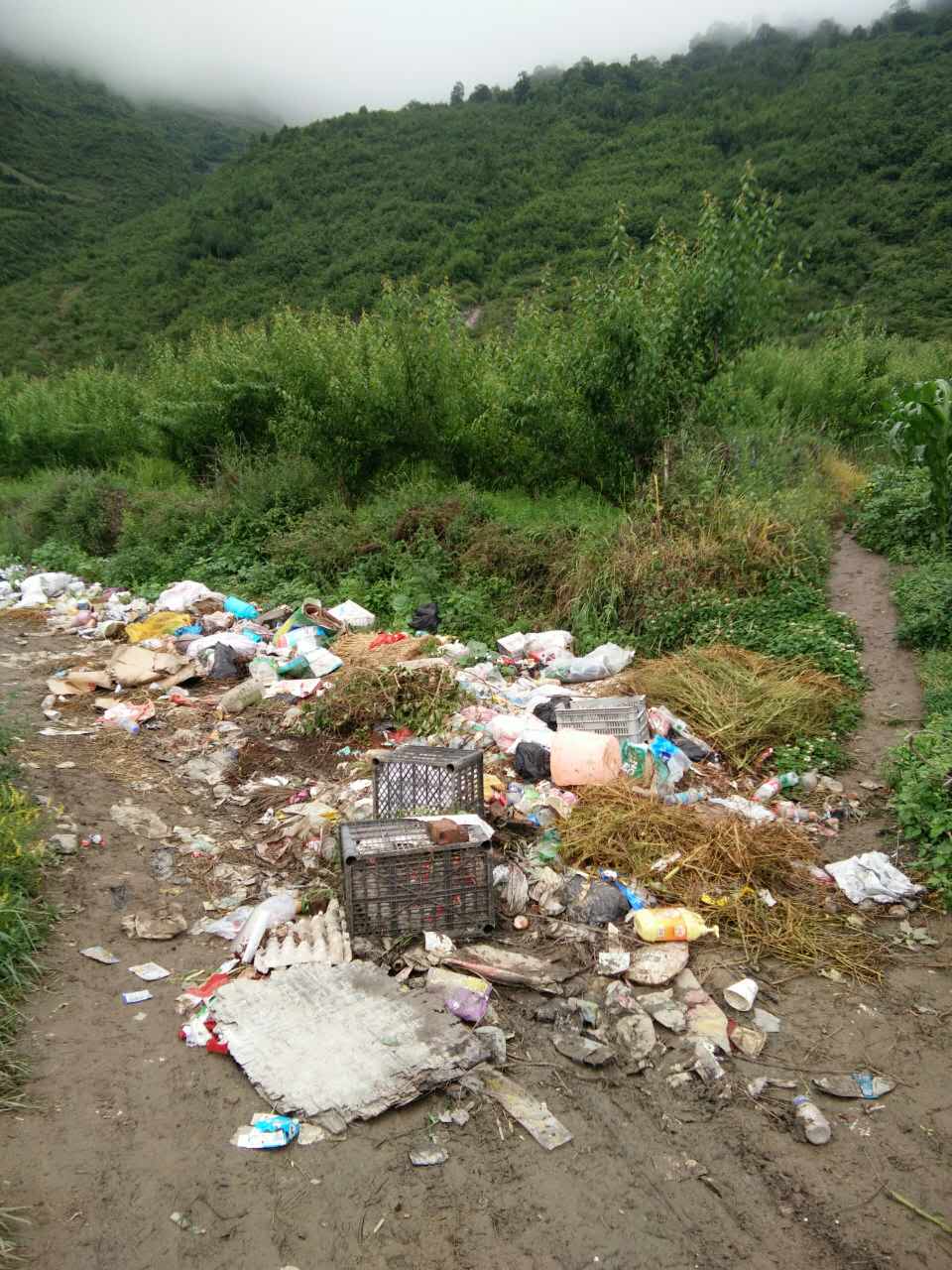 景区环保健康问题 - 汶川县委书记 - 阿坝州 - 四川省 - 地方领导留言