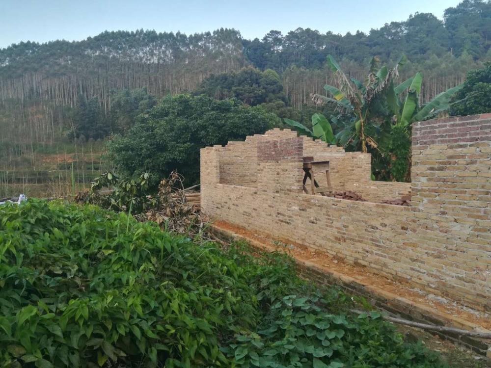 灵山镇六华村高垌队违建行为举报 - 容县县委书记 - 玉林市 - 广西