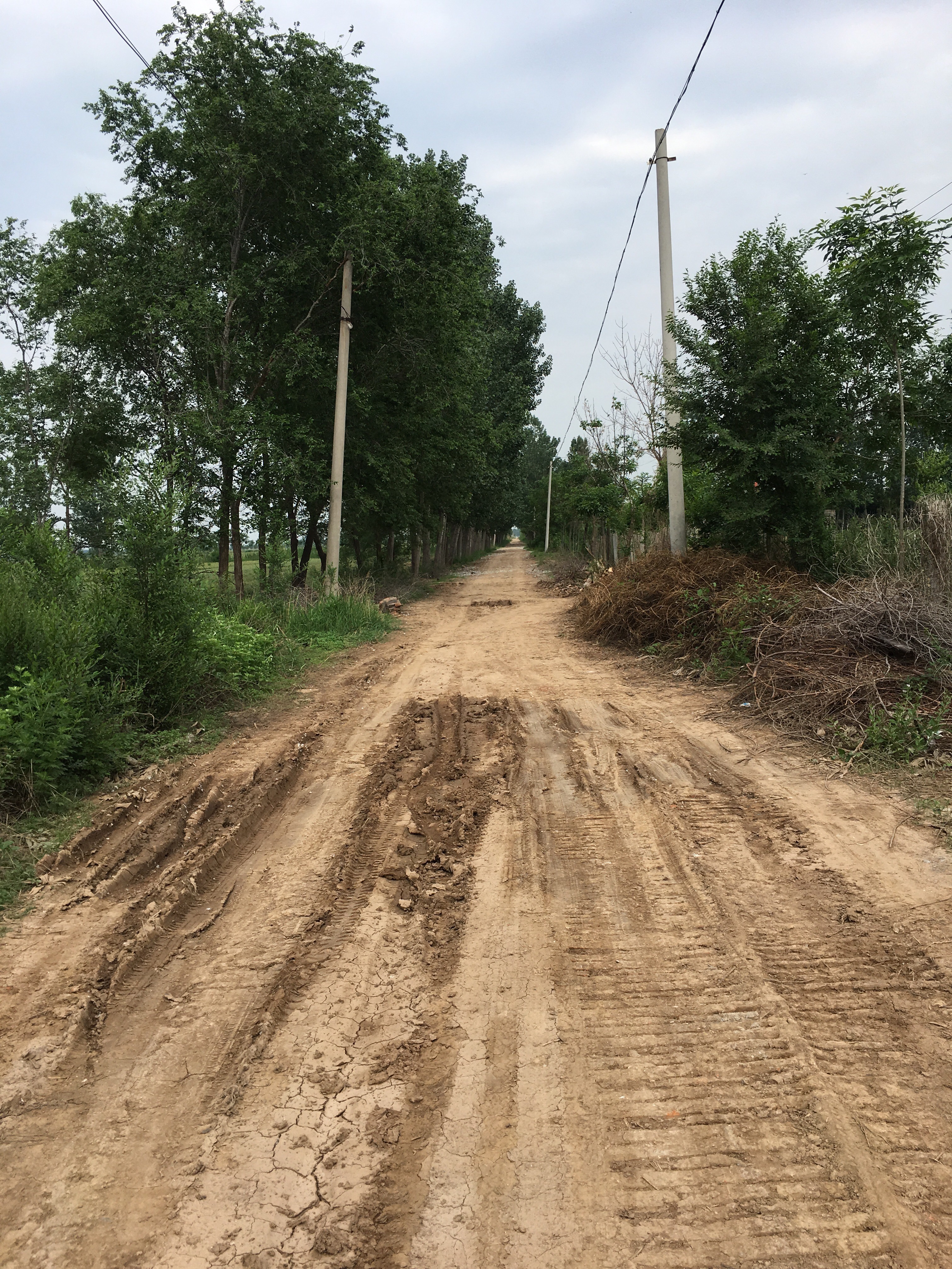 乡村道路泥泞不堪已办理三农建言