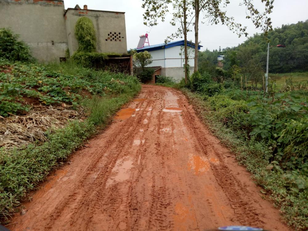 简阳市踏水镇石炮村6组道路问题