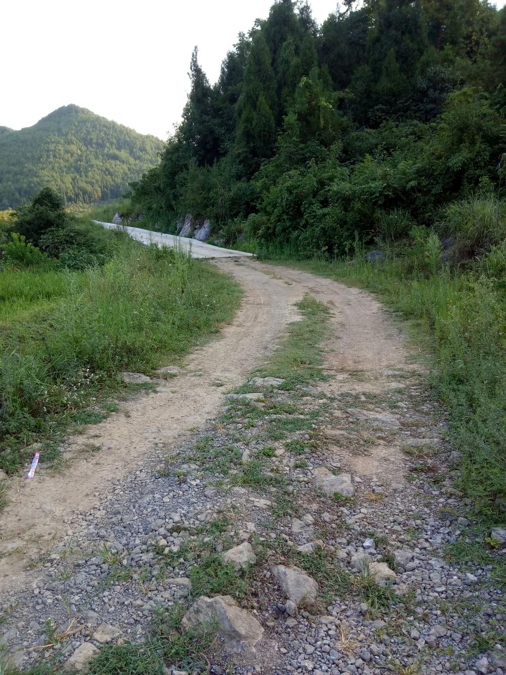 秀山宋农镇中山村水田上河乡村路硬化问题