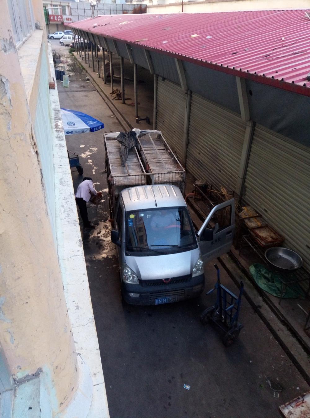 颐康园小区居住环境受到生鸡屠宰商户污染 - 和政县委书记 - 临夏州