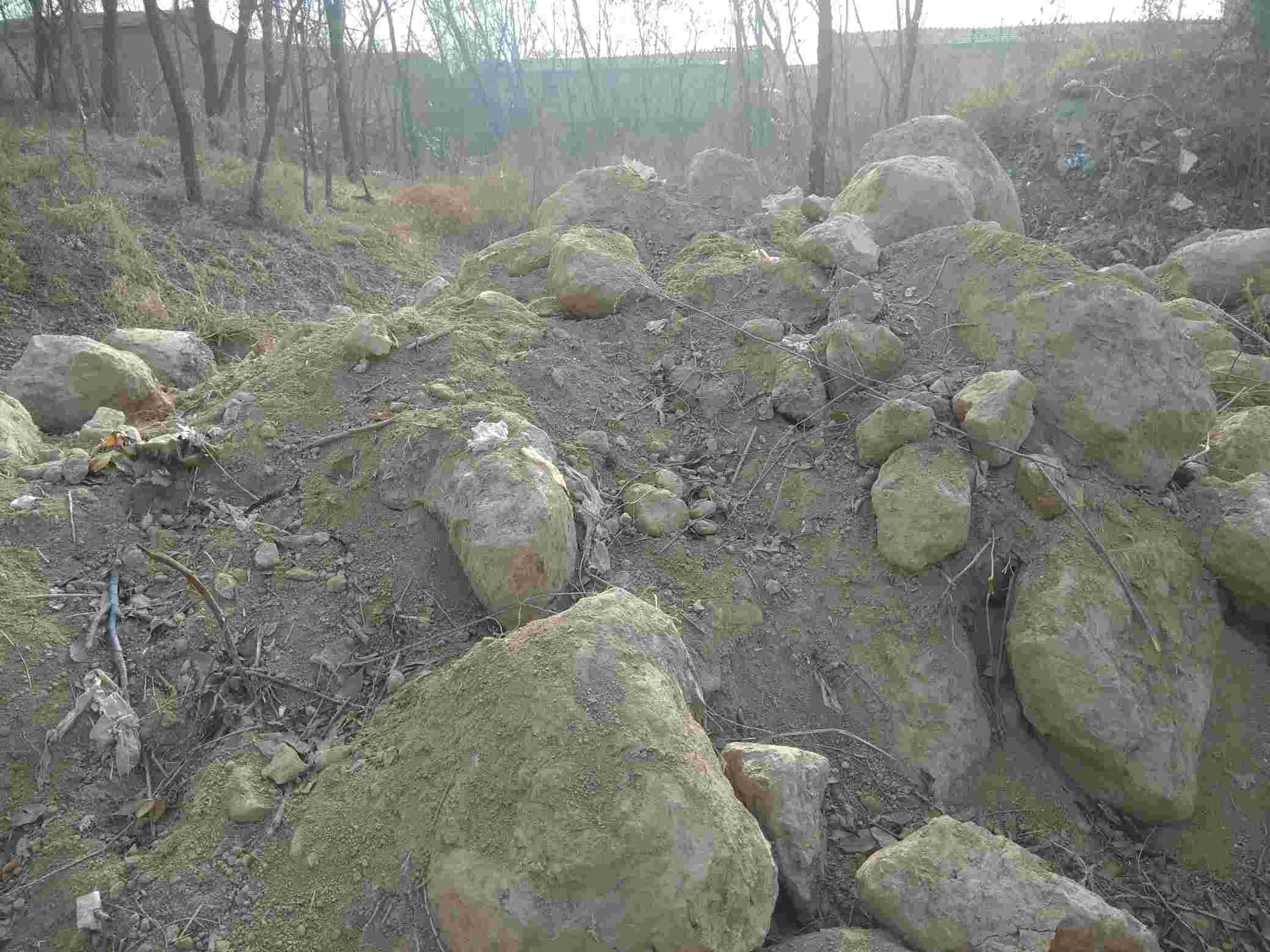 随意倾倒建筑垃圾无人管 - 夏津县委书记 - 德州市 - 山东省 - 领导