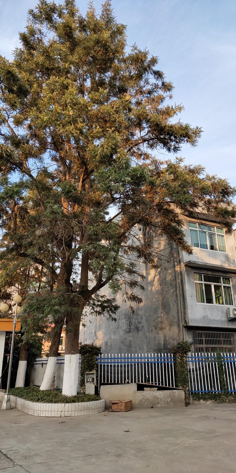 人微言薄,望领导帮忙处理 - 福鼎市委书记 - 宁德市 - 福建省 - 领导