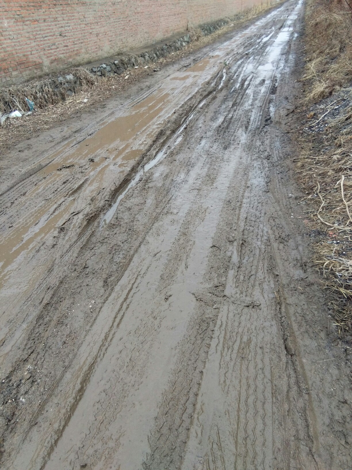 水泥路面唧泥图片