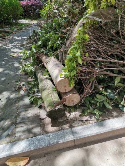 晋安区远洋路392号蓝湾雅境 - 晋安区委书记 - 福州市 - 福建省
