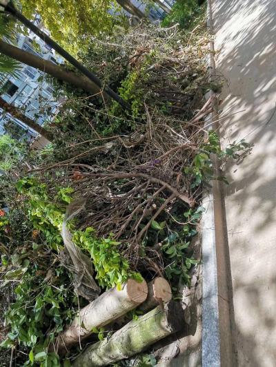 晋安区远洋路392号蓝湾雅境 - 晋安区委书记 - 福州市 - 福建省