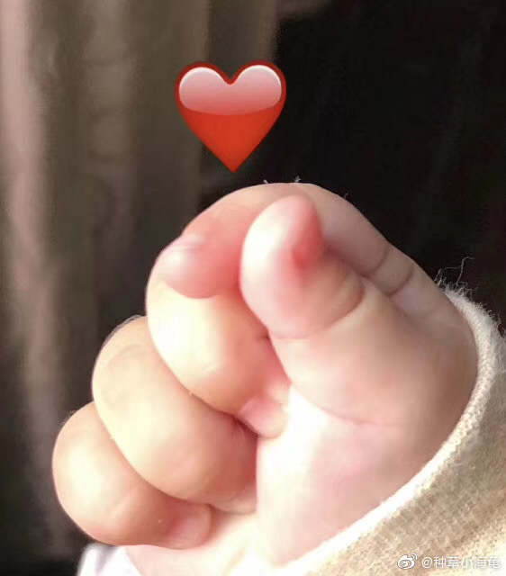 感谢李书记给我们安徽省领导班子比心,安徽省在这一届常委的领导下