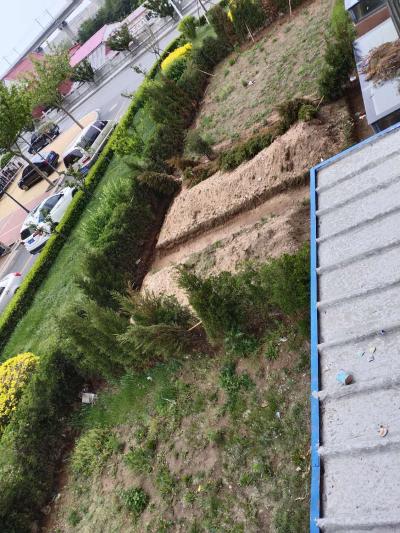 投诉大连市金普新区友谊街道执法队不作为慢作为