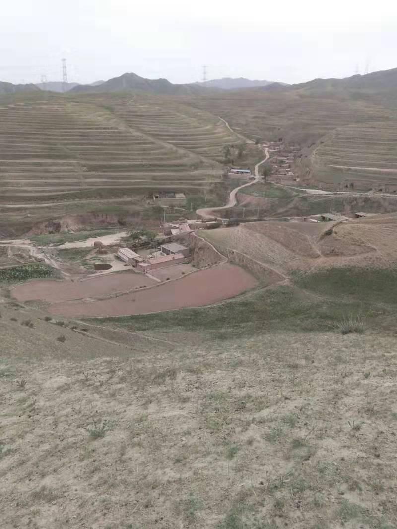 网上公示修了几次的水泥路为何现在还是一条土路 - 甘肃省委书记尹弘