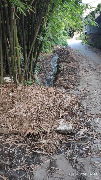 市中区水口镇谢村10组臭水沟处理