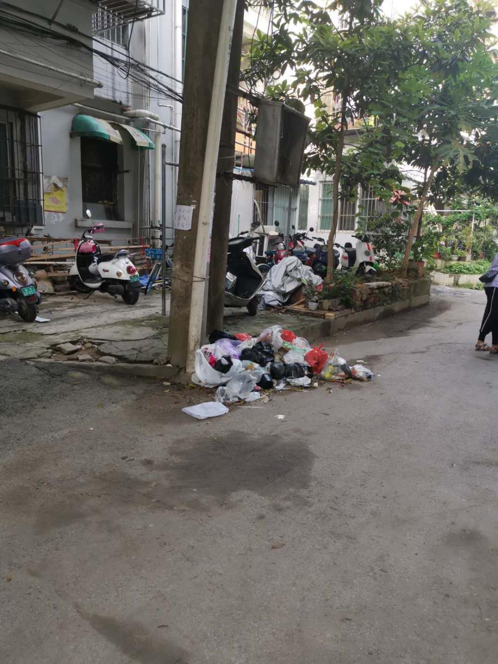 新竹小区乱丢垃圾无人管理已办理城建求助