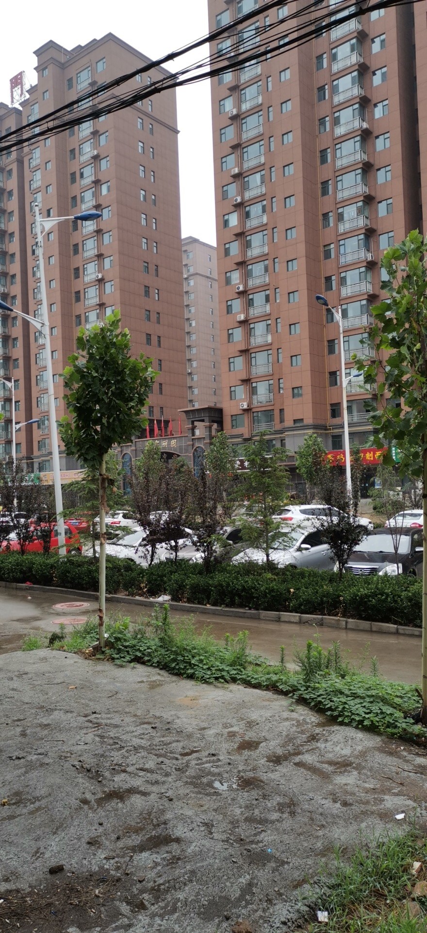 河津市委书记