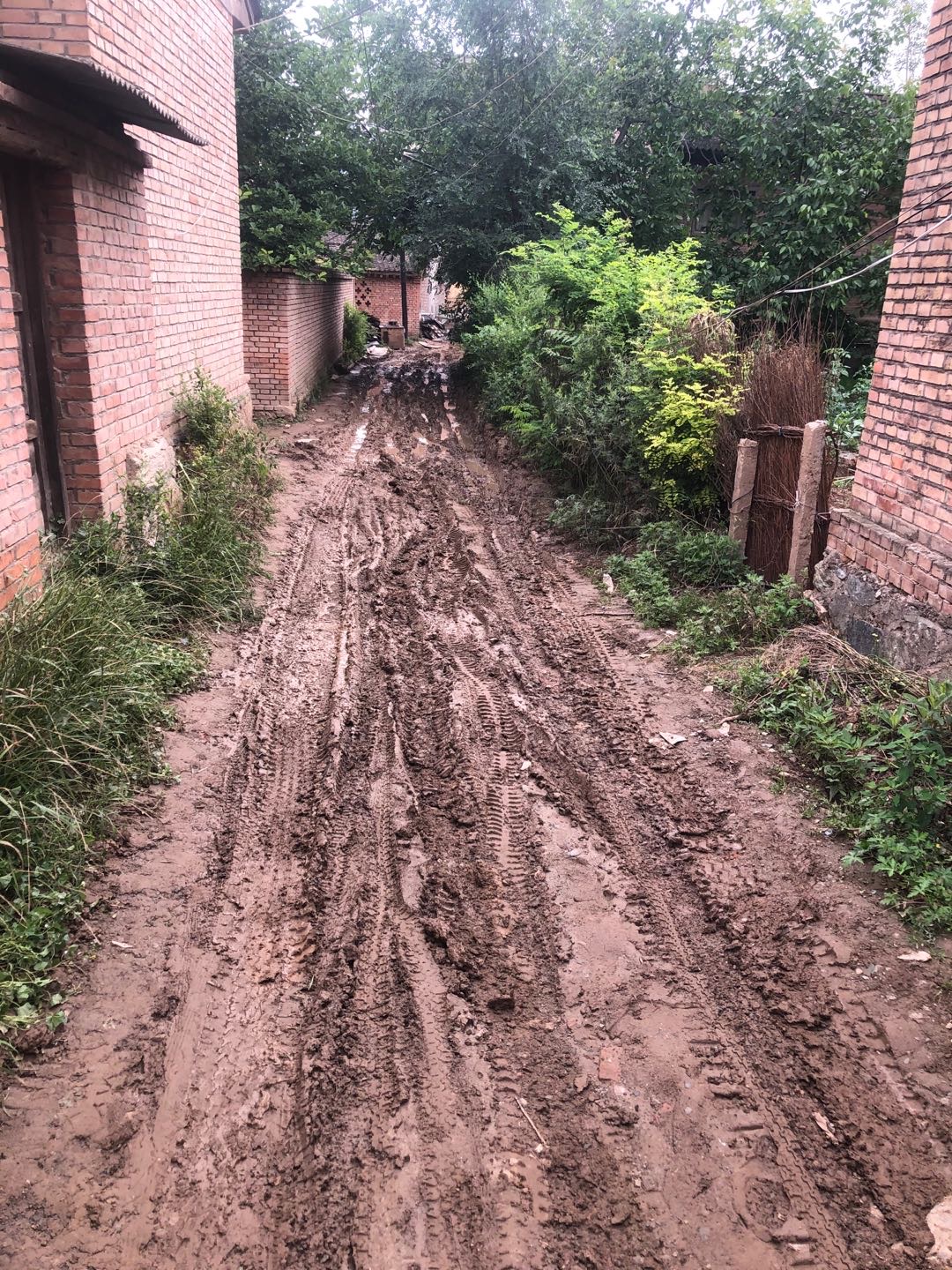 农村泥路无法行人,无人过问,无处申诉