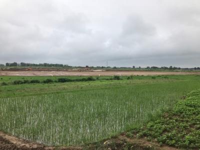 明巢高速占地面积不对不予办理 - 滁州市委书记许继伟 - 滁州市