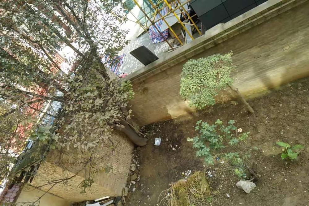 西校家属楼南边院子排水需解决 - 耀州区委书记 - 铜川市 - 陕西省