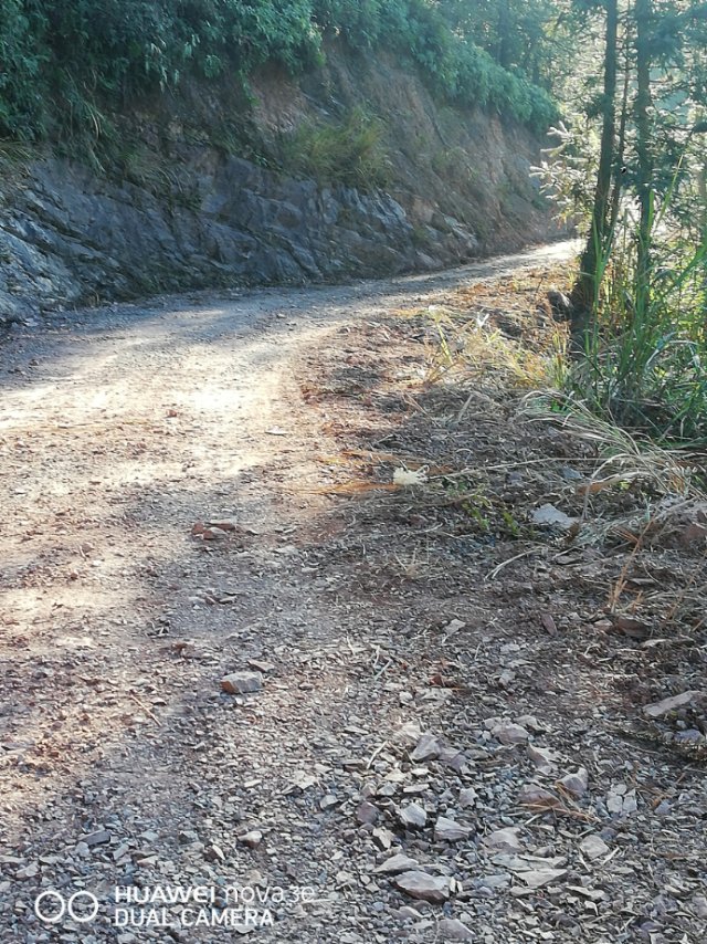 道路硬化 丽水市委书记胡海峰 丽水市 浙江省 领导留言板