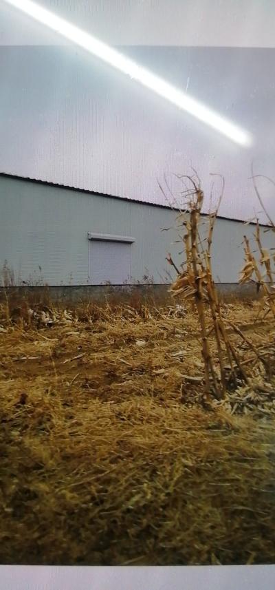 矿石加工厂的环保,和建厂用地, - 盖州市委书记 - 营口市 - 辽宁省