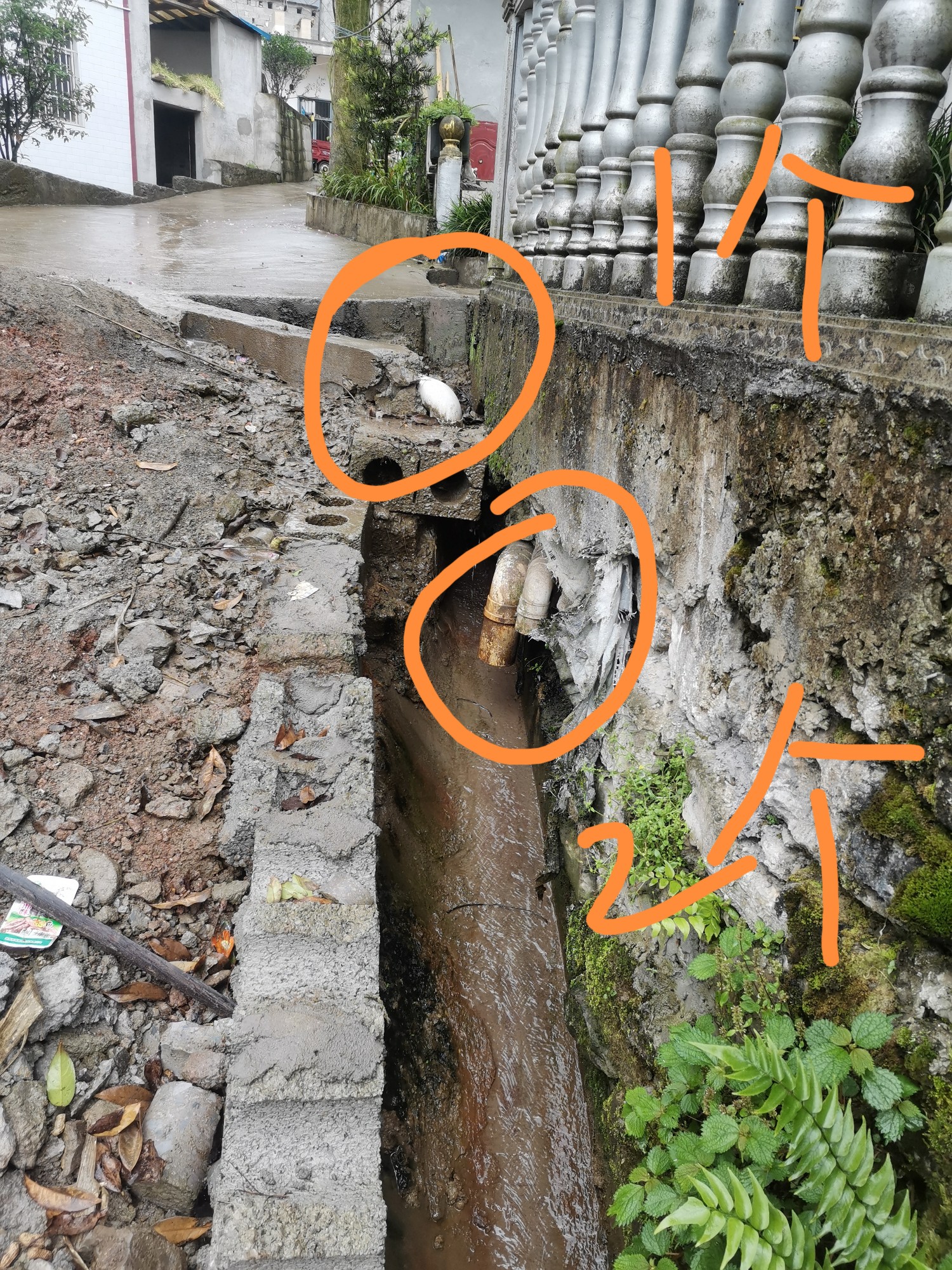 化粪池溢流口后患无穷