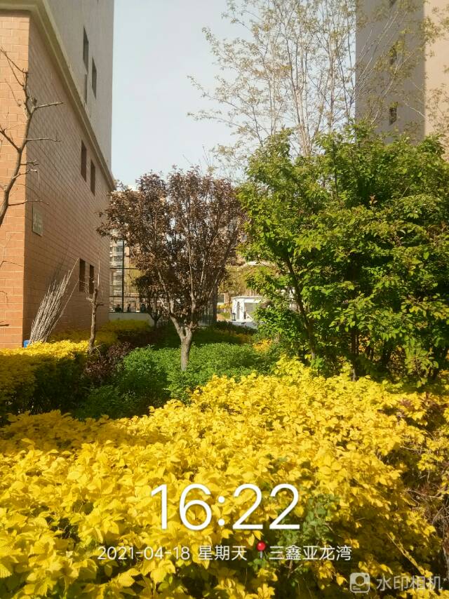 贺兰碧桂圆有人收费,没人管理 - 银川市委书记张柱 - 银川市 - 宁夏