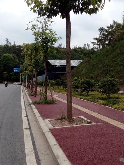 成都市委书记施小琳