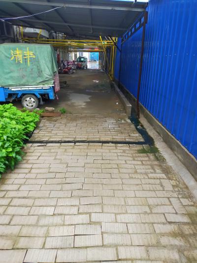 原粮食局兴达食品厂家属楼污水排放 - 清丰县委书记 - 濮阳市 - 河南