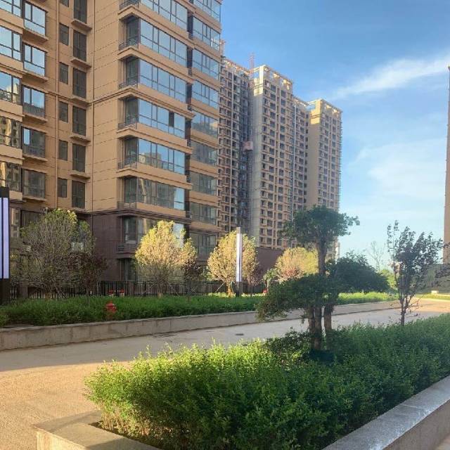 清丰县委书记 - 濮阳市 - 河南省 - 领导留言板 - 人民网