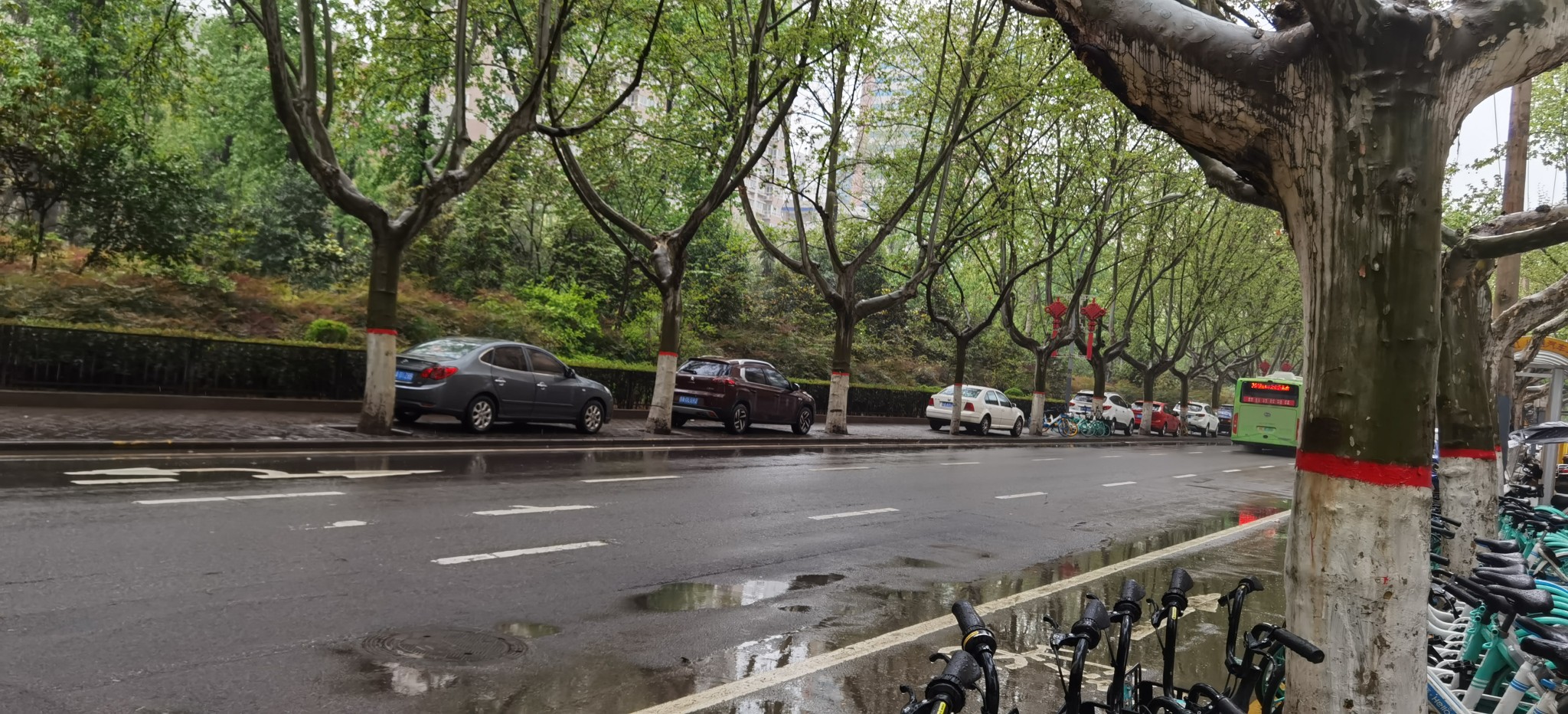 大庆路中间人行道停满车 - 莲湖区委书记 - 西安市 - 陕西省 - 领导