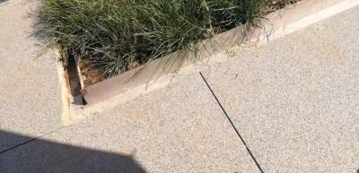 固始县委书记王治学