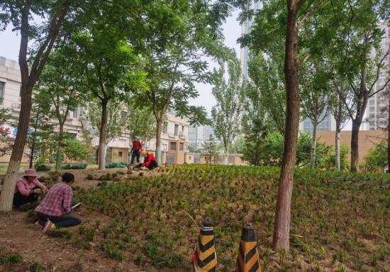 长阳地铁怡和北路一号院首开熙悦山澜庭小卫生差