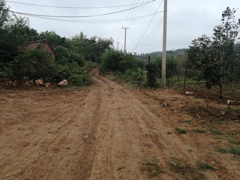 村庄道路断面图片