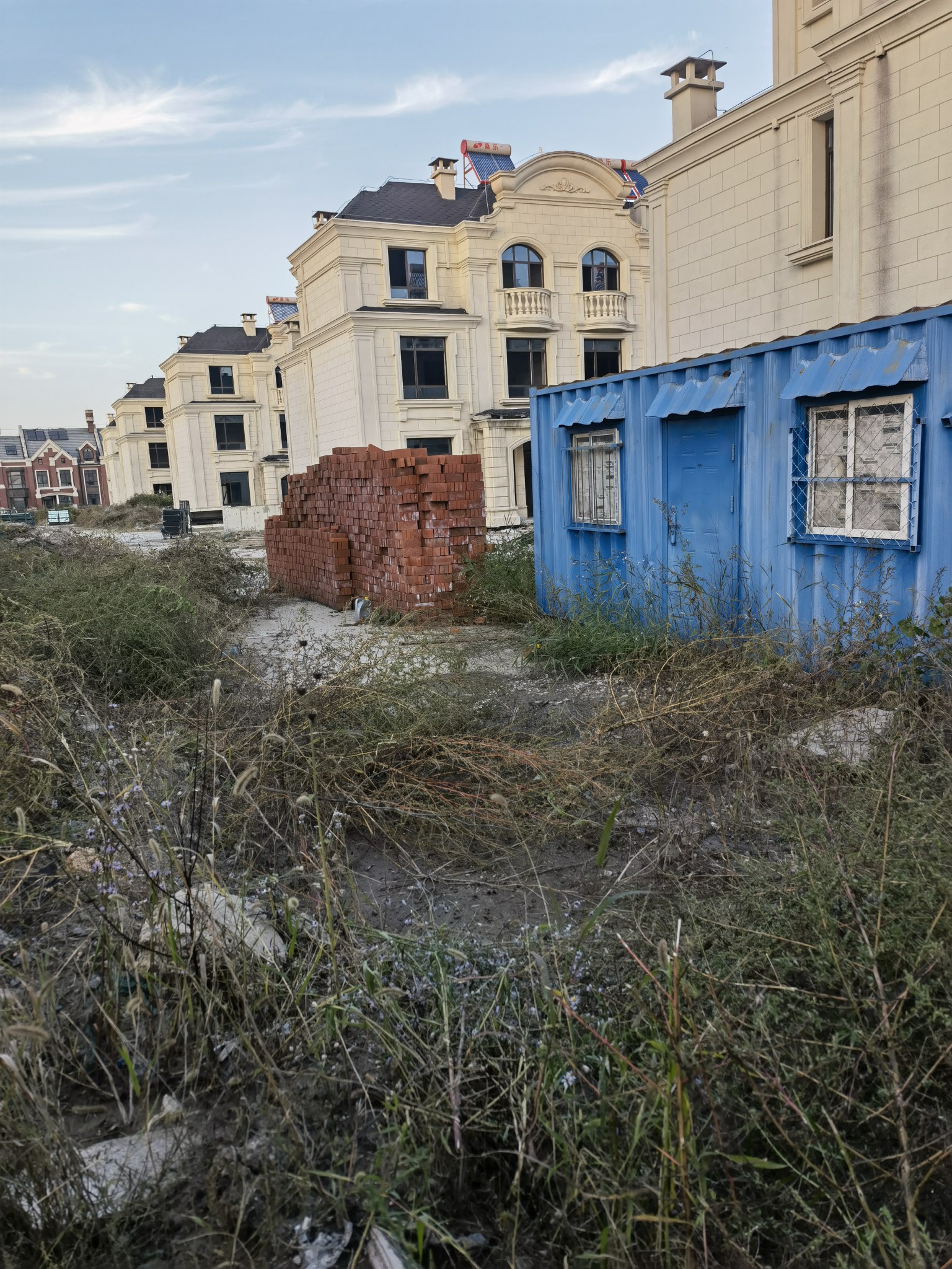 东丽区区长贾堤