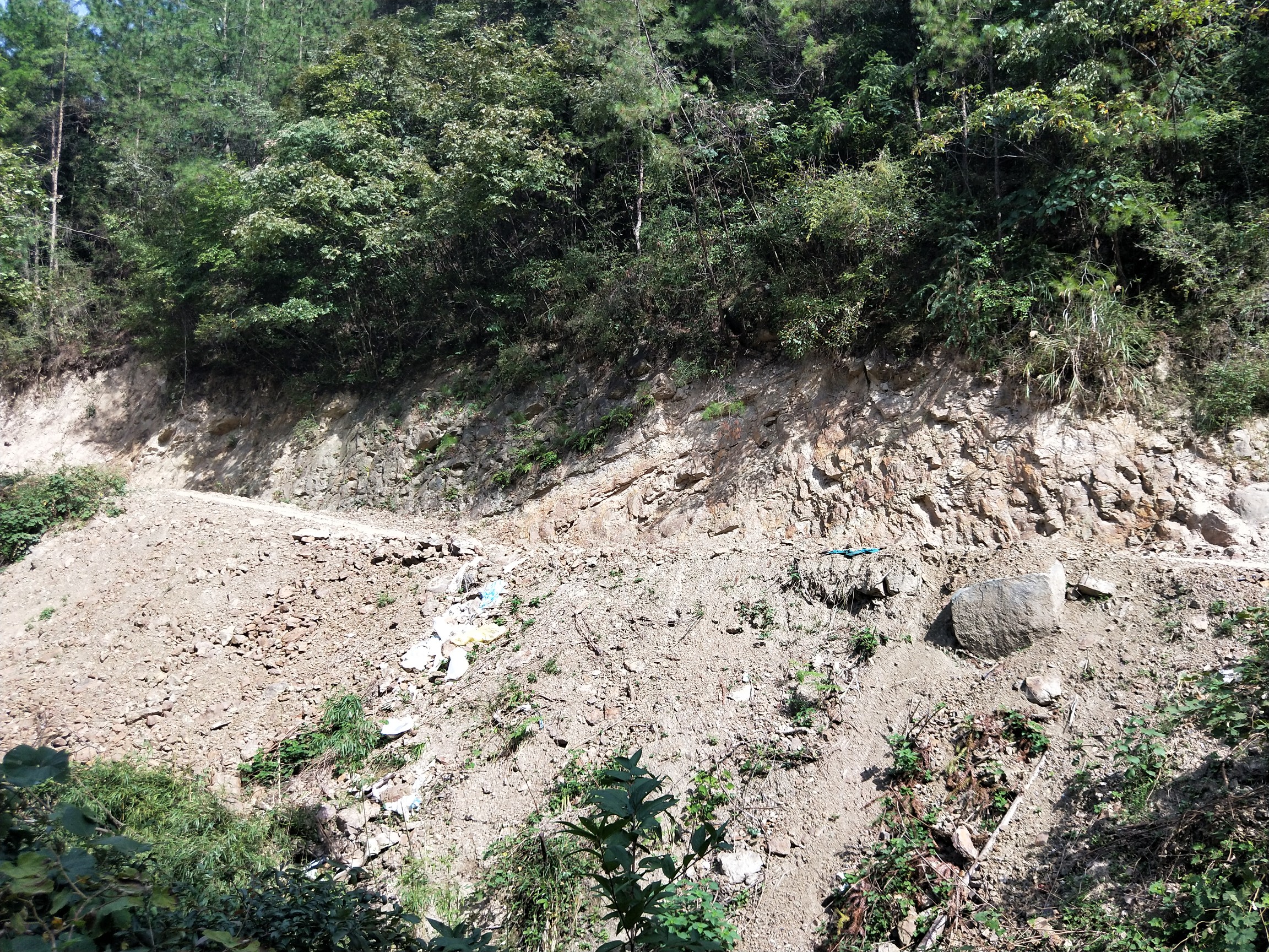 重慶市奉節縣甲高鎮四灣村老四灣段何時能硬化