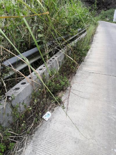 河池市委书记秦春成