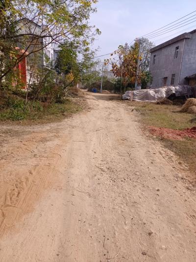 中館驛鎮王集村金家河什麼時候通水泥路 - 麻城市委書記 - 黃岡市