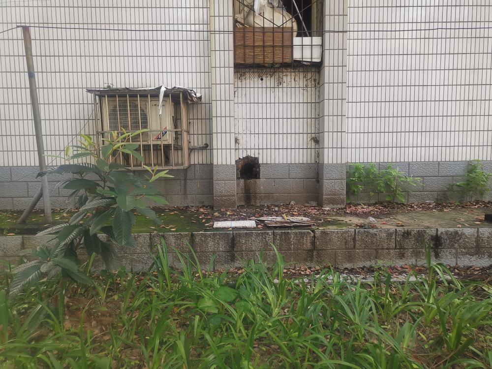 湖北省宜昌市委书记王立-领导留言板-人民网