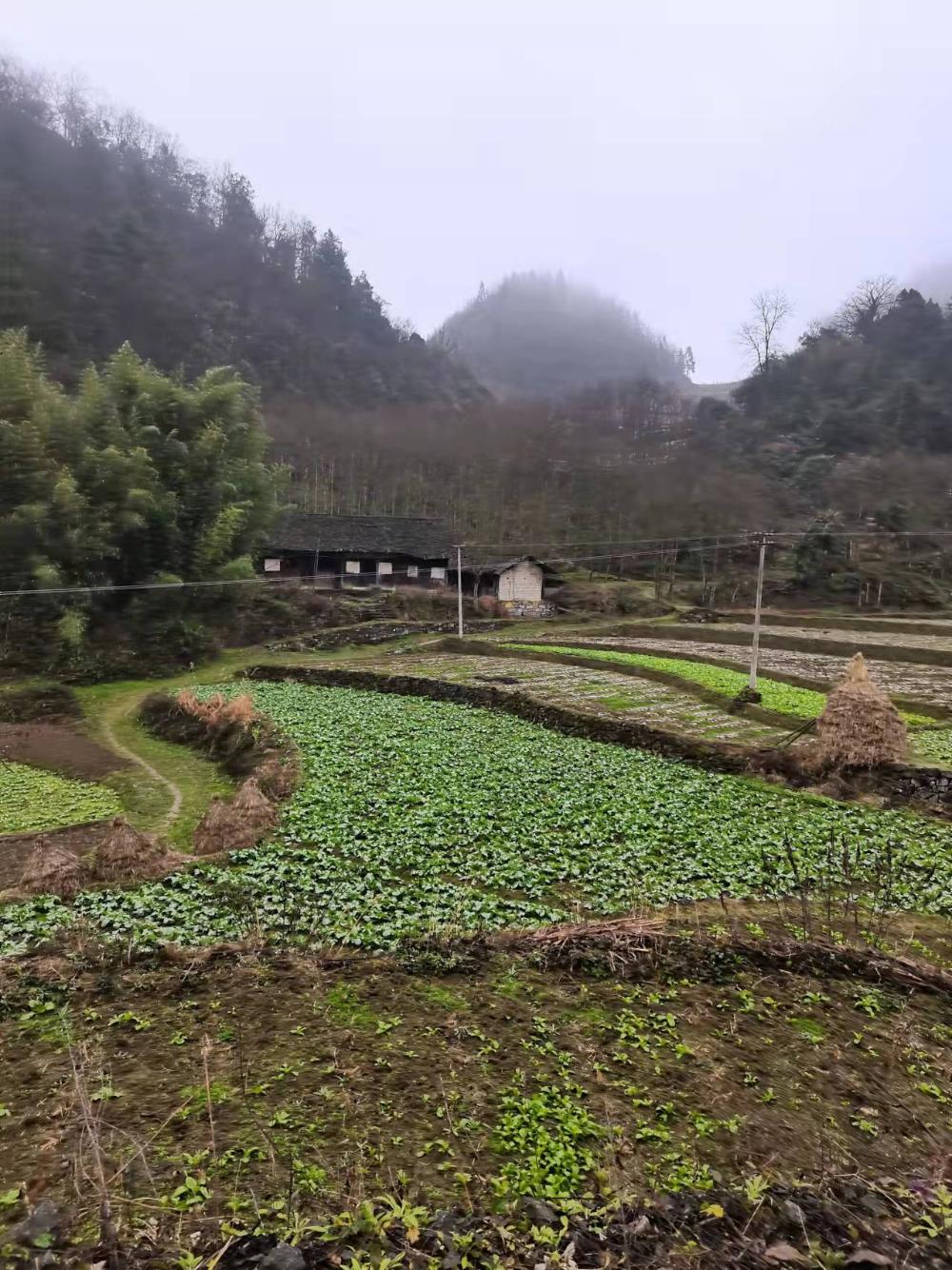 乐山镇新土村河坝至瑶上组通组公路