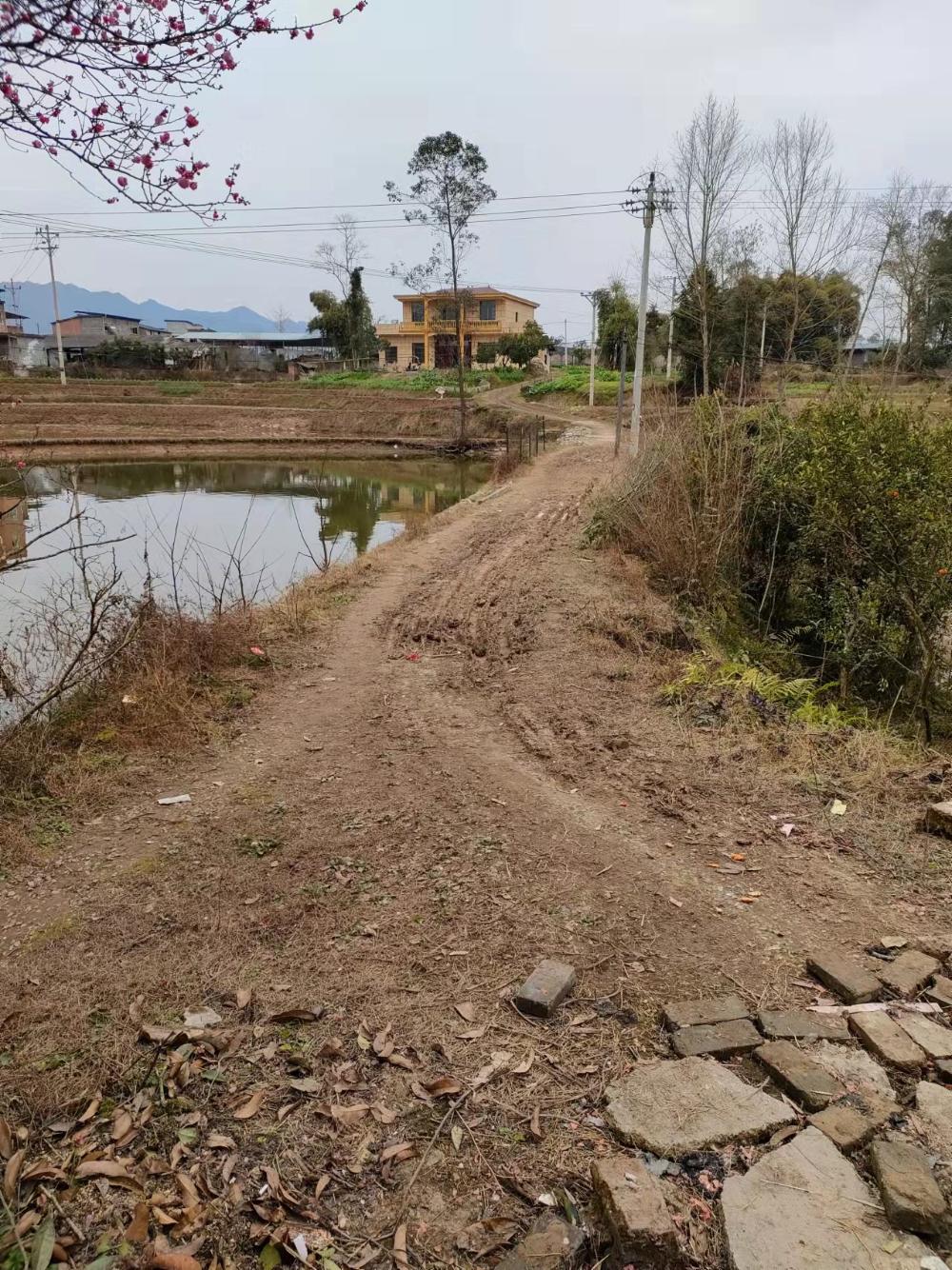重庆市梁平区委书记钱建超-领导留言板-人民网
