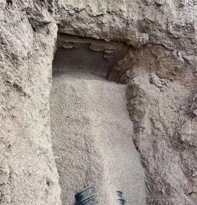 鹿邑县委书记李刚 - 鹿邑县 - 河南省 - 领导留言板 - 人民网