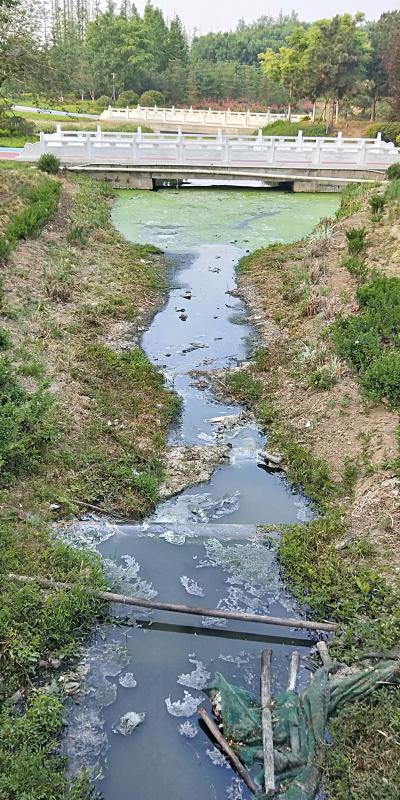 小区居民生活废水直接排放进公园河道造严重污染