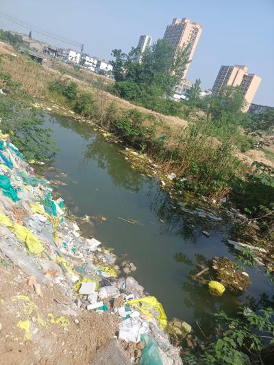 南湖大道北头金三角右侧水系脏乱差 - 颍上县委书记 - 阜阳市 - 安徽