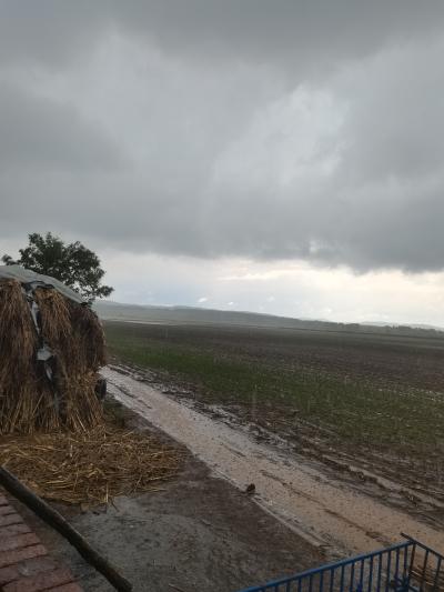 27垧平地长年积水 - 东辽县委书记 - 辽源市 - 吉林省 - 领导留言板