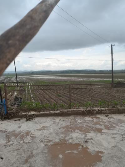 27垧平地长年积水 - 东辽县委书记 - 辽源市 - 吉林省 - 领导留言板