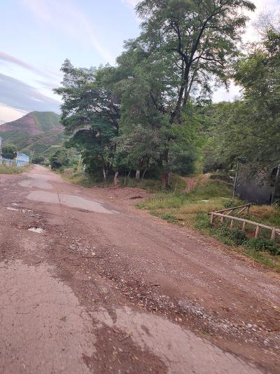 武山县s208水帘洞到榆盘段常年无人维修 - 武山县委书记 - 天水市